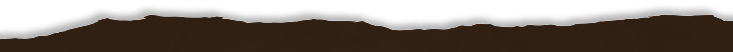 BG-ripped-edge-brown-top