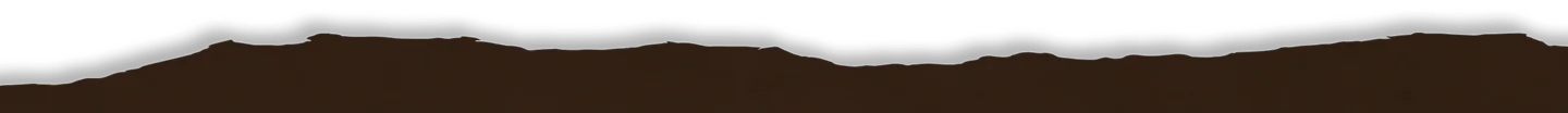 BG-ripped-edge-brown-top
