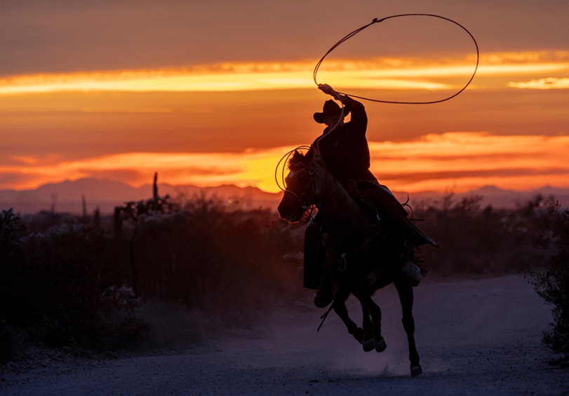 Fature-card-image-cowboy