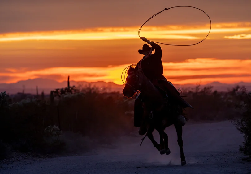 Fature-card-image-cowboy
