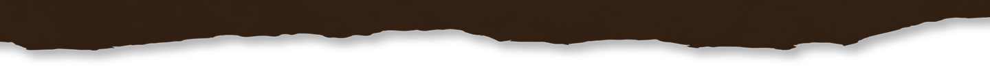 brown-bg-bottom torn edge