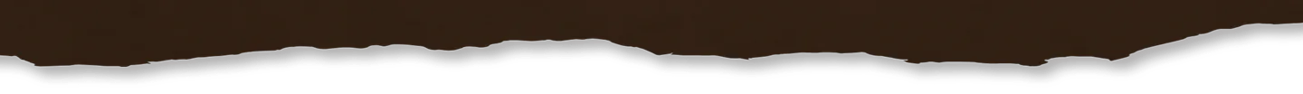 brown-bg-bottom torn edge