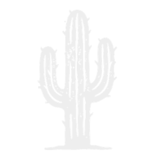 cactus-icon-offwhite