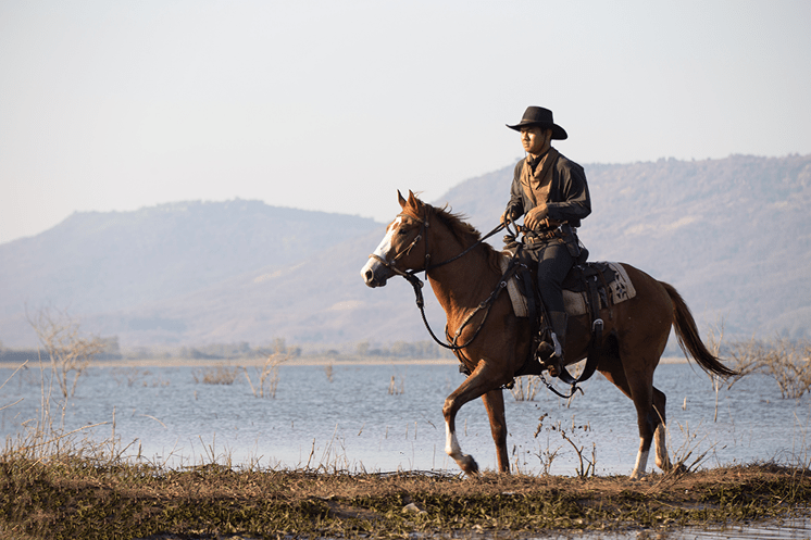 “Person wearing a wide-brim hat riding a brown horse along the edge of a lake, with mountains in the background.”
