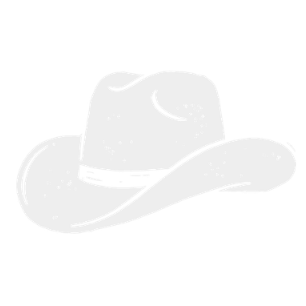 hat-icon-off-w